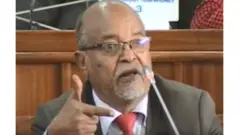 ዶክተር ኣድሃና ሃይለ ኣድሃና
