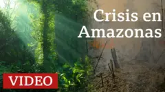 Incendios registrados en varios países amazónicos.