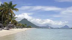 Des cocotiers bordent la plage de Flic en Flac sur l'île Maurice.