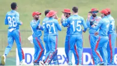 کرېکټ