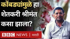 कोंबड्या