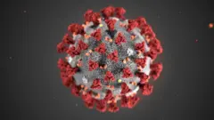 Une illustration montrant la structure du nouveau coronavirus