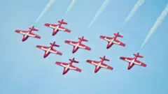 The Canadian Snowbirds