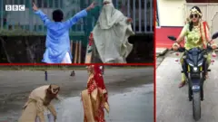 ভাইরাল