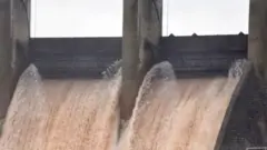 تربیلا ڈیم