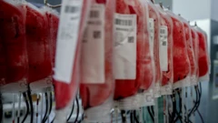 Blood bank