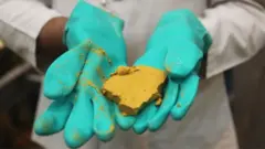 प्रतीकात्मतक तस्वीर