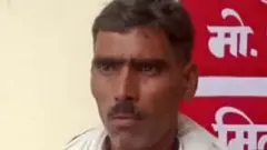 வக்கீல் மல்லிக்