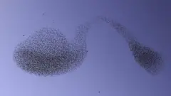 이 '굴절된 숟가락' 사진은 세계에서 가장 유명한 숟가락 마술사인 유리 겔러의 관심을 끌었다