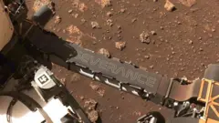 Rover Istrajnost