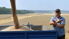 жнива