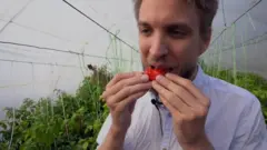 Najljuća paprika u Srbiji