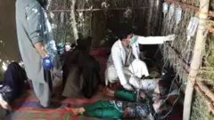 ناروغان