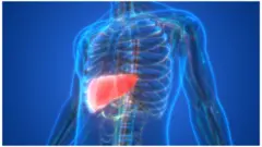 ফ্যাটি লিভার