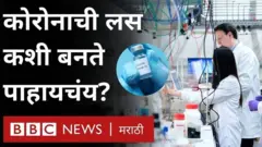 कोरोना लस