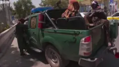 तालिबान