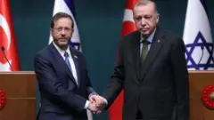 طیب رجب اردوغان اور ہیرزوگ