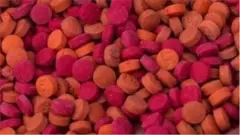 ইয়াবা বাংলাদেশে ভয়াবহ মাদক