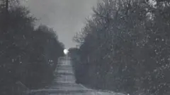 Fotografia erm preto e branco mostra uma estrada cercada de árvores e uma luz brilhante ao fundo