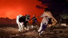 пожежа