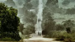 Le Malawi possède une riche couverture forestière primaire, mais elle diminue rapidement en raison des coupes effectuées pour l'exploitation des terres agricoles et du bois de chauffage.