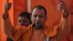 Yogi