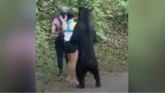 野生のクマがくんくん……冷静にセルフィーを撮る女性