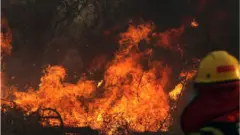 ባርዕ ኣማዞን