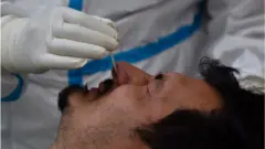 নমুনা পরীক্ষা