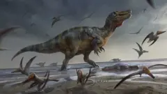 'White Rock spinosaurid'