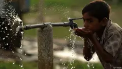 ਸੰਕੇਤਕ ਤਸਵੀਰ