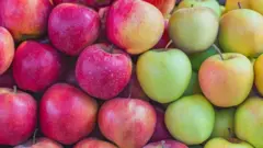 Apples