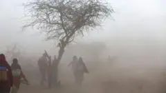 ደረቅ የአየር ሁኔታ