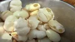 తాటి ముంజలు