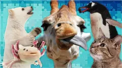 జీవ వైవిధ్యం