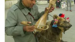 čovek i zatočen medved