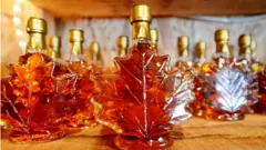 Botellas de miel de maple.