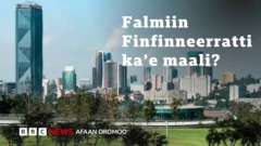 Waa'ee Finfinnee