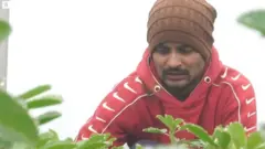 ਰਾਮ ਸਿਕਲ