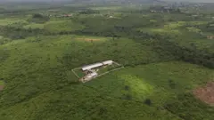 Uma vista aérea mostrando uma vasta área de floresta verde com um complexo de edifícios no centro, cercado por um muro