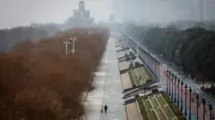 Wuhan dünyanın en sıkı karantina önlemlerinden birisine sahne oldu.