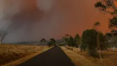 ባርዕ ሓዊ