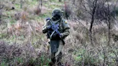 fuerzas armadas chile