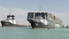 ایورگرین