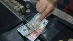 Dolar ve euro banknotları