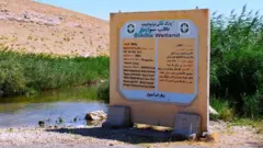 سولدوز