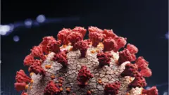 Virus