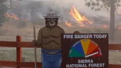 smokey bear