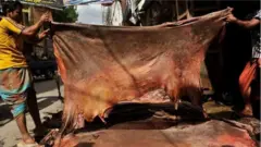 দূষণের কারণে ঢাকার হাজারীবাগ থেকে ট্যানারিগুলো সাভারে নেয়া হয়েছিলো।