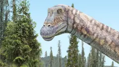 Una ilustración del Arackar licanantay
